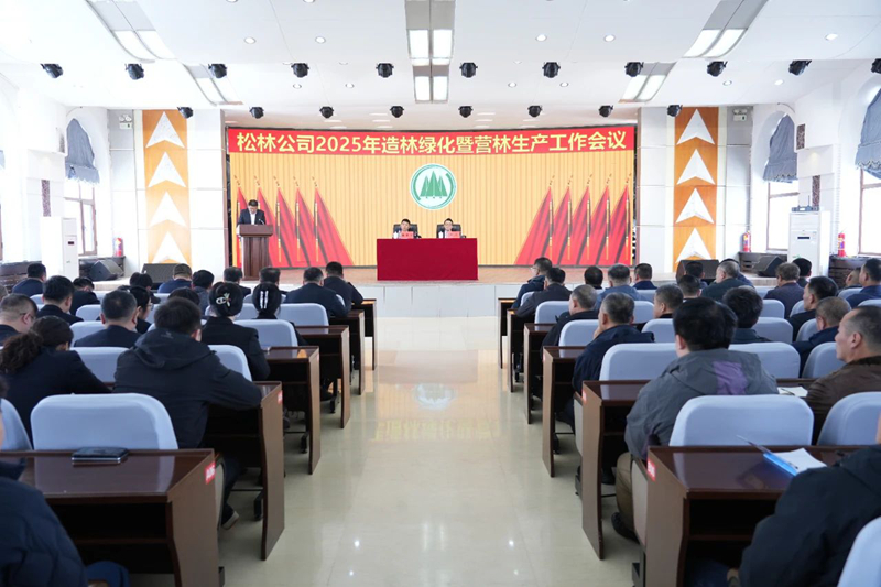 1744891663336421.jpg 3.jpg